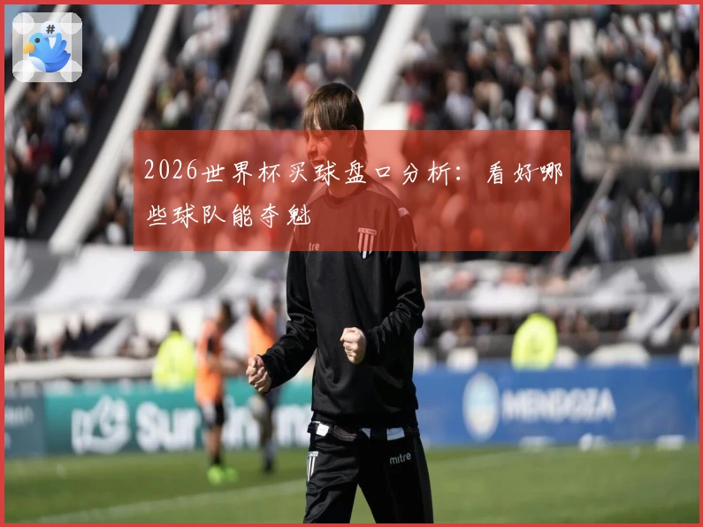 2026世界杯买球盘口分析：看好哪些球队能夺魁