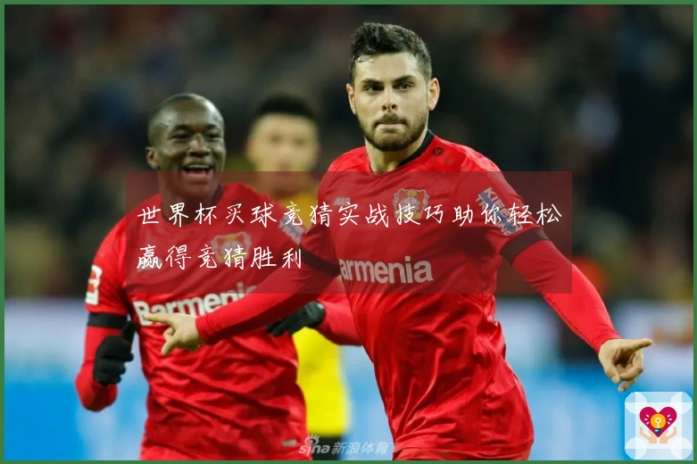 世界杯买球竞猜实战技巧助你轻松赢得竞猜胜利