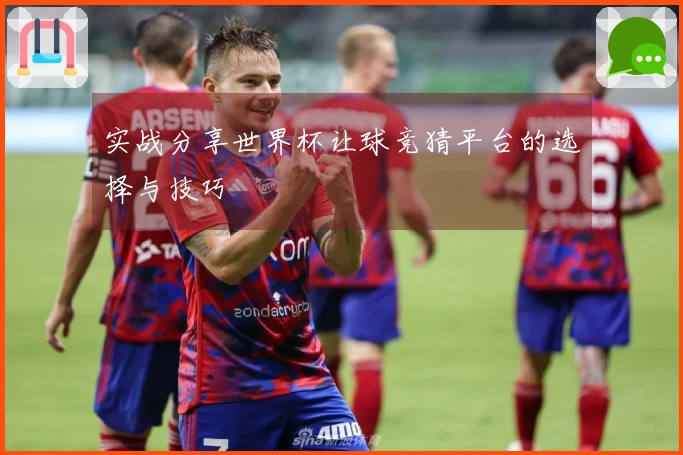 实战分享世界杯让球竞猜平台的选择与技巧