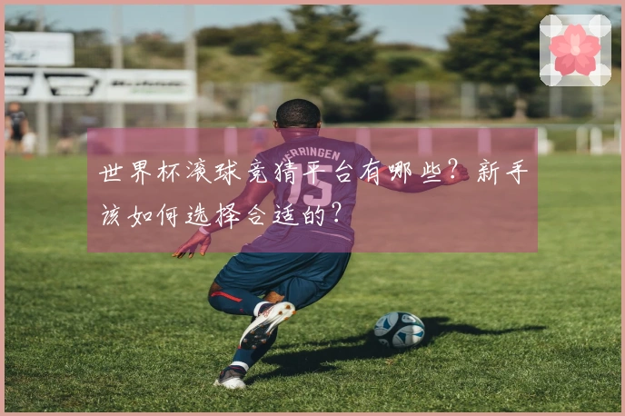 世界杯滚球竞猜平台有哪些？新手该如何选择合适的？