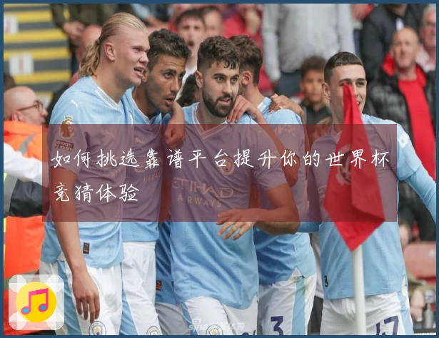 如何挑选靠谱平台提升你的世界杯竞猜体验
