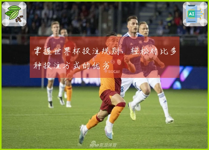 掌握世界杯投注规则，轻松对比多种投注方式的优劣