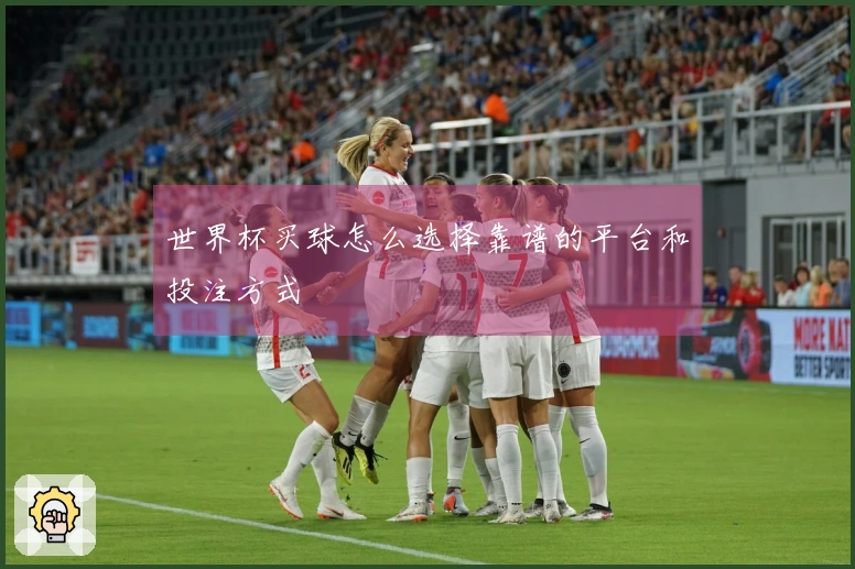 世界杯买球怎么选择靠谱的平台和投注方式