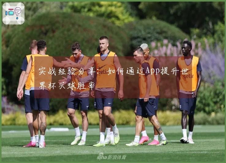 实战经验分享：如何通过App提升世界杯买球胜率