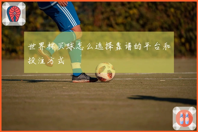 世界杯买球怎么选择靠谱的平台和投注方式
