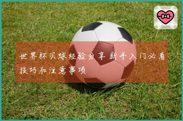 世界杯买球经验分享 新手入门必看技巧和注意事项