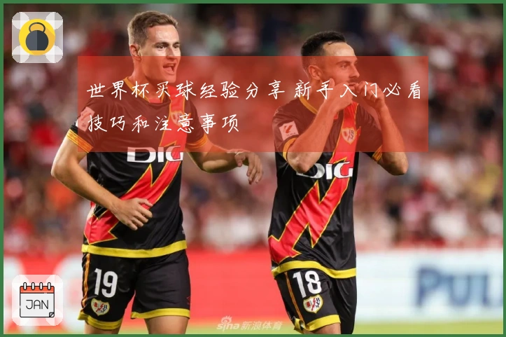 世界杯买球经验分享 新手入门必看技巧和注意事项