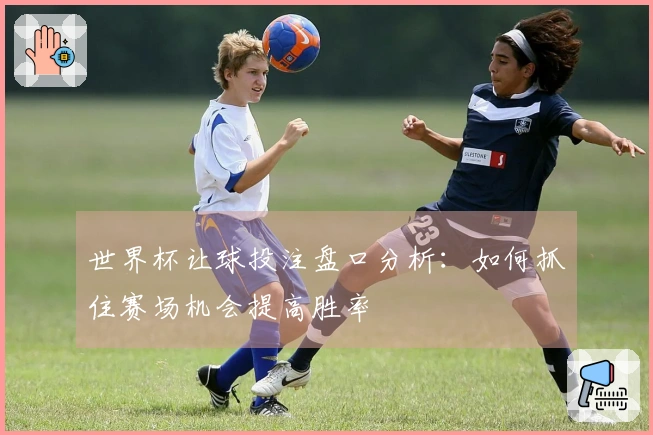 世界杯让球投注盘口分析：如何抓住赛场机会提高胜率