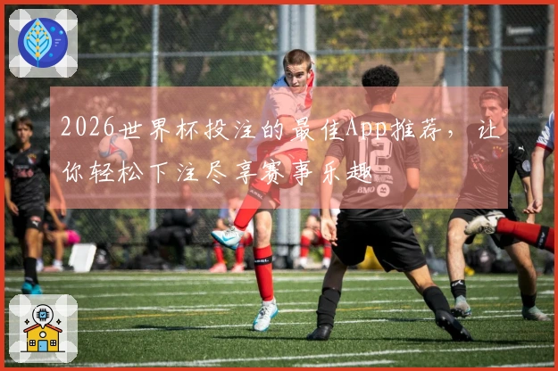 2026世界杯投注的最佳App推荐，让你轻松下注尽享赛事乐趣