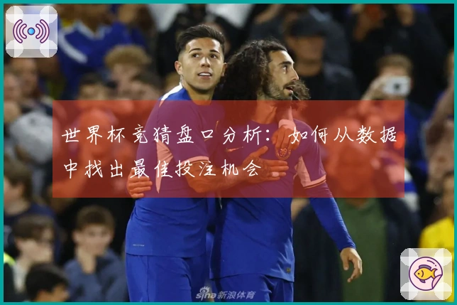 世界杯竞猜盘口分析：如何从数据中找出最佳投注机会