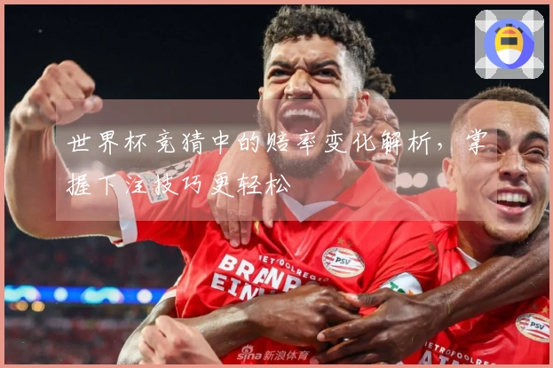 世界杯竞猜中的赔率变化解析，掌握下注技巧更轻松