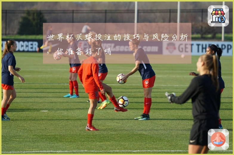世界杯买球投注的技巧与风险分析，你准备好了吗