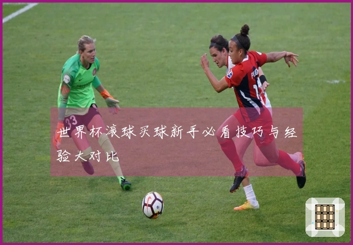 世界杯滚球买球新手必看技巧与经验大对比