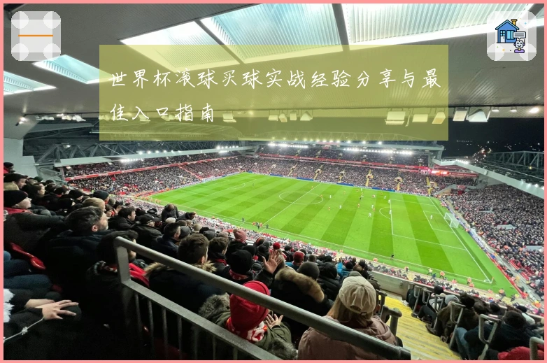 世界杯滚球买球实战经验分享与最佳入口指南