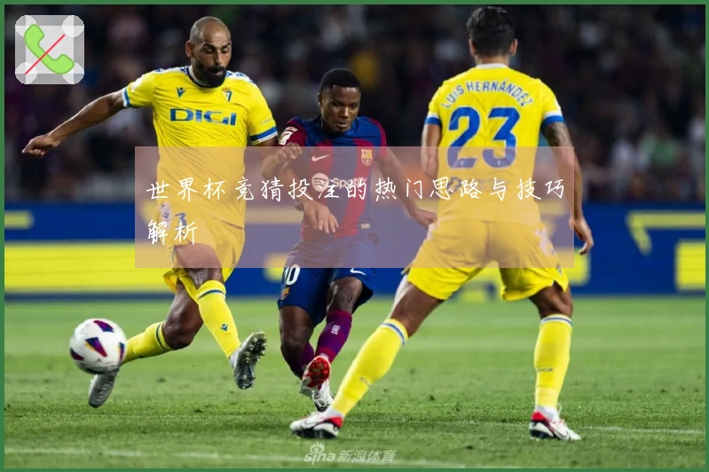 世界杯竞猜投注的热门思路与技巧解析