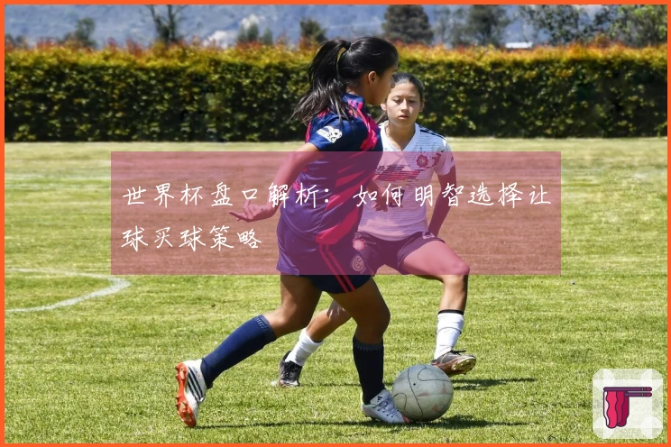 世界杯盘口解析：如何明智选择让球买球策略