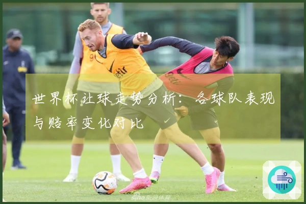 世界杯让球走势分析：各球队表现与赔率变化对比